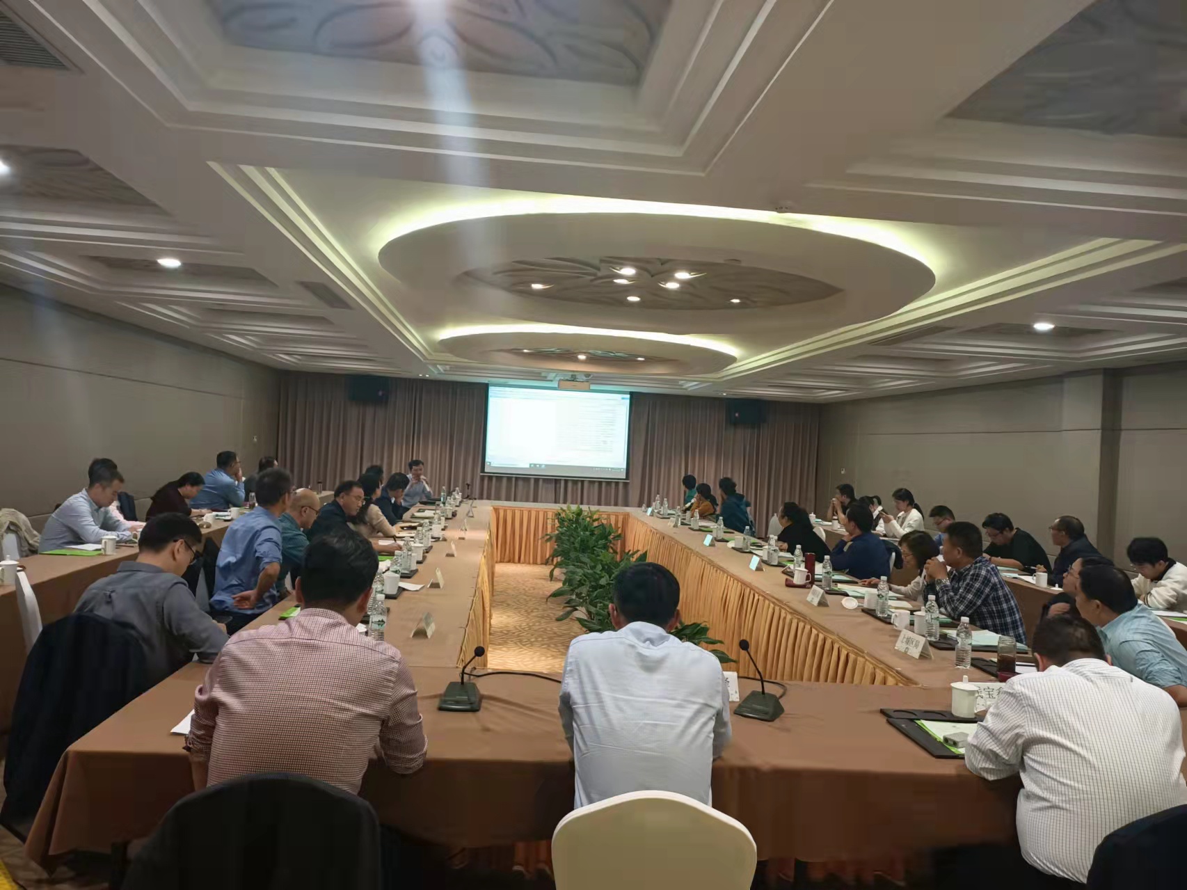 1635574914639979.jpg 487428cf3ed9e66ea729486d66b3f9d.jpg